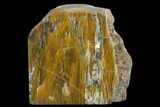 Petrified Wood (Araucioxylon) Rip-Cut - Circle Cliffs, Utah #135635-2